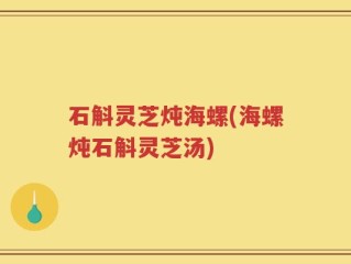 石斛灵芝炖海螺(海螺炖石斛灵芝汤)