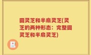 圆灵芝和半扇灵芝(灵芝的两种形态：完整圆灵芝和半扇灵芝)