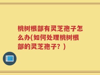 桃树根部有灵芝孢子怎么办(如何处理桃树根部的灵芝孢子？)