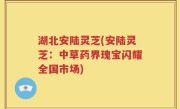 湖北安陆灵芝(安陆灵芝：中草药界瑰宝闪耀全国市场)
