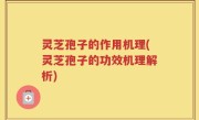灵芝孢子的作用机理(灵芝孢子的功效机理解析)