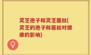 灵芝孢子和灵芝菌丝(灵芝的孢子和菌丝对健康的影响)