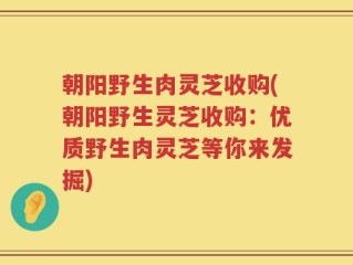 朝阳野生肉灵芝收购(朝阳野生灵芝收购：优质野生肉灵芝等你来发掘)