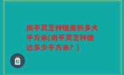南平灵芝种植面积多大平方米(南平灵芝种植达多少平方米？)