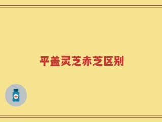 平盖灵芝赤芝区别