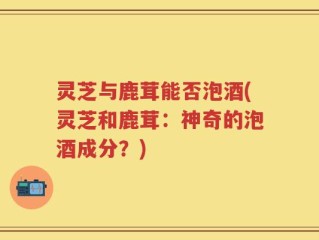 灵芝与鹿茸能否泡酒(灵芝和鹿茸：神奇的泡酒成分？)