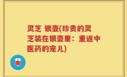 灵芝 银壶(珍贵的灵芝装在银壶里：重返中医药的宠儿)