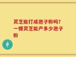 灵芝能打成孢子粉吗？一棵灵芝能产多少孢子粉