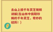 去山上摘千年灵芝视频讲解(在山林中摘取珍稀的千年灵芝，奇妙的经历！)
