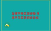 在哪学种灵芝好呢(寻找学习灵芝的好去处)