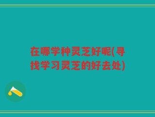 在哪学种灵芝好呢(寻找学习灵芝的好去处)