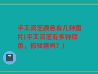 手工灵芝颜色有几种图片(手工灵芝有多种颜色，你知道吗？)