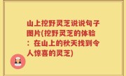 山上挖野灵芝说说句子图片(挖野灵芝的体验：在山上的秋天找到令人惊喜的灵芝)