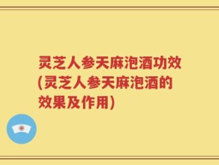 灵芝人参天麻泡酒功效(灵芝人参天麻泡酒的效果及作用)