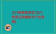 三门峡菌菇灵芝(三门峡灵芝种植助力产业发展)