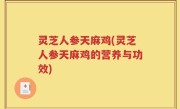 灵芝人参天麻鸡(灵芝人参天麻鸡的营养与功效)