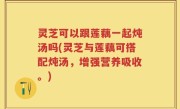 灵芝可以跟莲藕一起炖汤吗(灵芝与莲藕可搭配炖汤，增强营养吸收。)