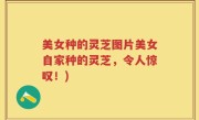 美女种的灵芝图片美女自家种的灵芝，令人惊叹！)