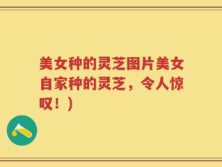 美女种的灵芝图片美女自家种的灵芝，令人惊叹！)