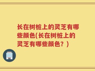 长在树桩上的灵芝有哪些颜色(长在树桩上的灵芝有哪些颜色？)