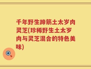 千年野生蹄筋土太岁肉灵芝(珍稀野生土太岁肉与灵芝混合的特色美味)