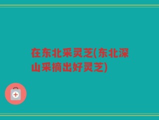 在东北采灵芝(东北深山采摘出好灵芝)