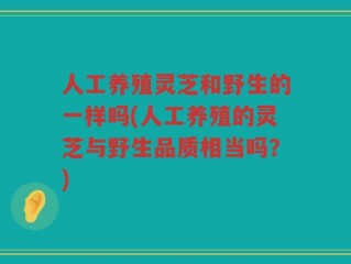 人工养殖灵芝和野生的一样吗(人工养殖的灵芝与野生品质相当吗？)