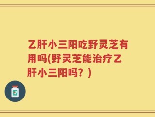 乙肝小三阳吃野灵芝有用吗(野灵芝能治疗乙肝小三阳吗？)