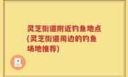 灵芝街道附近钓鱼地点(灵芝街道周边的钓鱼场地推荐)