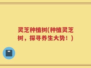 灵芝种植树(种植灵芝树，探寻养生大势！)