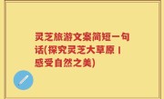 灵芝旅游文案简短一句话(探究灵芝大草原丨感受自然之美)