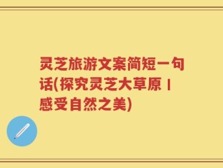 灵芝旅游文案简短一句话(探究灵芝大草原丨感受自然之美)