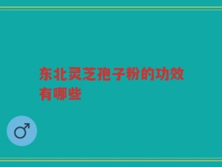 东北灵芝孢子粉的功效有哪些
