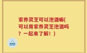 家养灵芝可以泡酒嘛(可以用家养灵芝泡酒吗？一起来了解！)