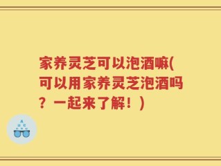 家养灵芝可以泡酒嘛(可以用家养灵芝泡酒吗？一起来了解！)