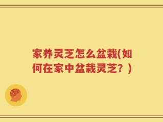 家养灵芝怎么盆栽(如何在家中盆栽灵芝？)
