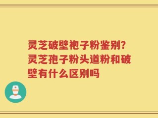 灵芝破壁袍子粉鉴别？灵芝孢子粉头道粉和破壁有什么区别吗