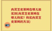 肉灵芝史莱姆在哪儿能买到(肉灵芝史莱姆在哪儿购买？购买肉灵芝史莱姆的方法)