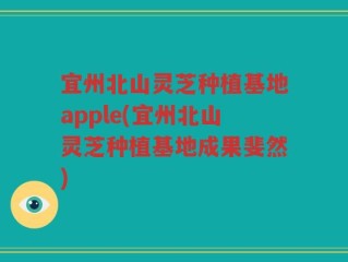 宜州北山灵芝种植基地apple(宜州北山灵芝种植基地成果斐然)