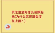 灵芝泡酒为什么会飘起来(为什么灵芝酒会浮在上面？)