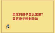 灵芝的孢子怎么出来？灵芝孢子粉制作法