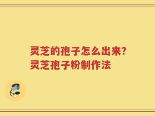 灵芝的孢子怎么出来？灵芝孢子粉制作法