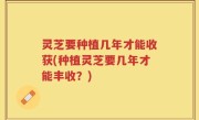灵芝要种植几年才能收获(种植灵芝要几年才能丰收？)