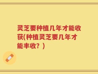 灵芝要种植几年才能收获(种植灵芝要几年才能丰收？)