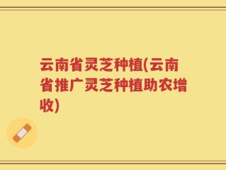 云南省灵芝种植(云南省推广灵芝种植助农增收)