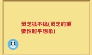 灵芝猛不猛(灵芝的重要性超乎想象)