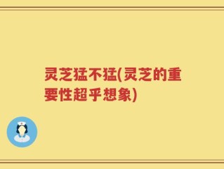 灵芝猛不猛(灵芝的重要性超乎想象)