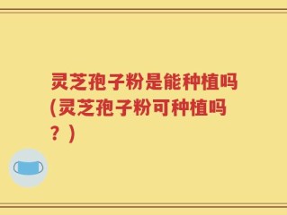 灵芝孢子粉是能种植吗(灵芝孢子粉可种植吗？)