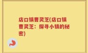 店口镇曹灵芝(店口镇曹灵芝：探寻小镇的秘密)