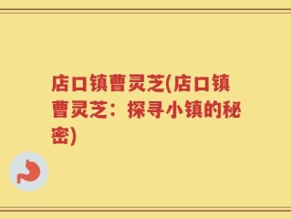 店口镇曹灵芝(店口镇曹灵芝：探寻小镇的秘密)